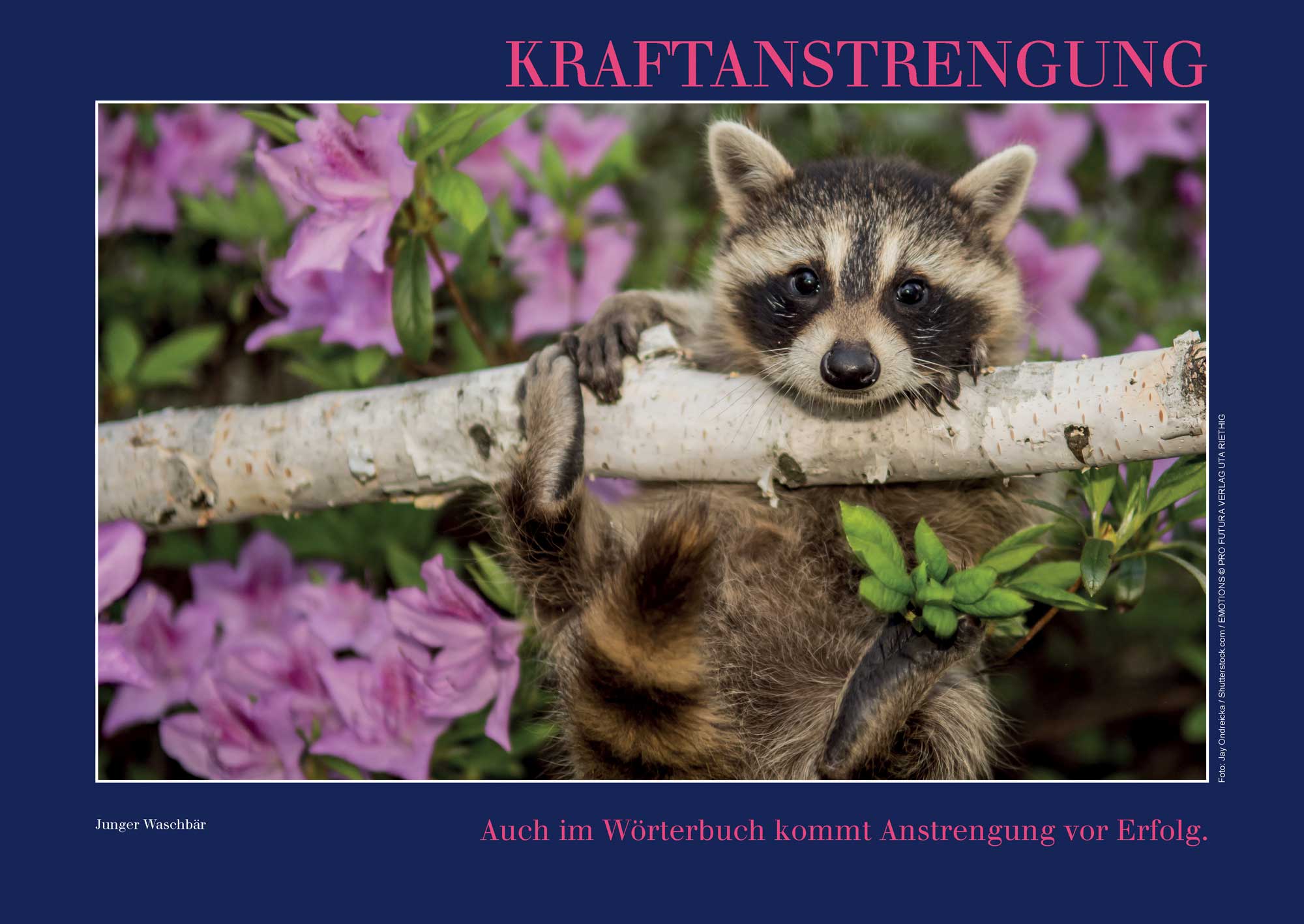 Kalender mit Emotionen