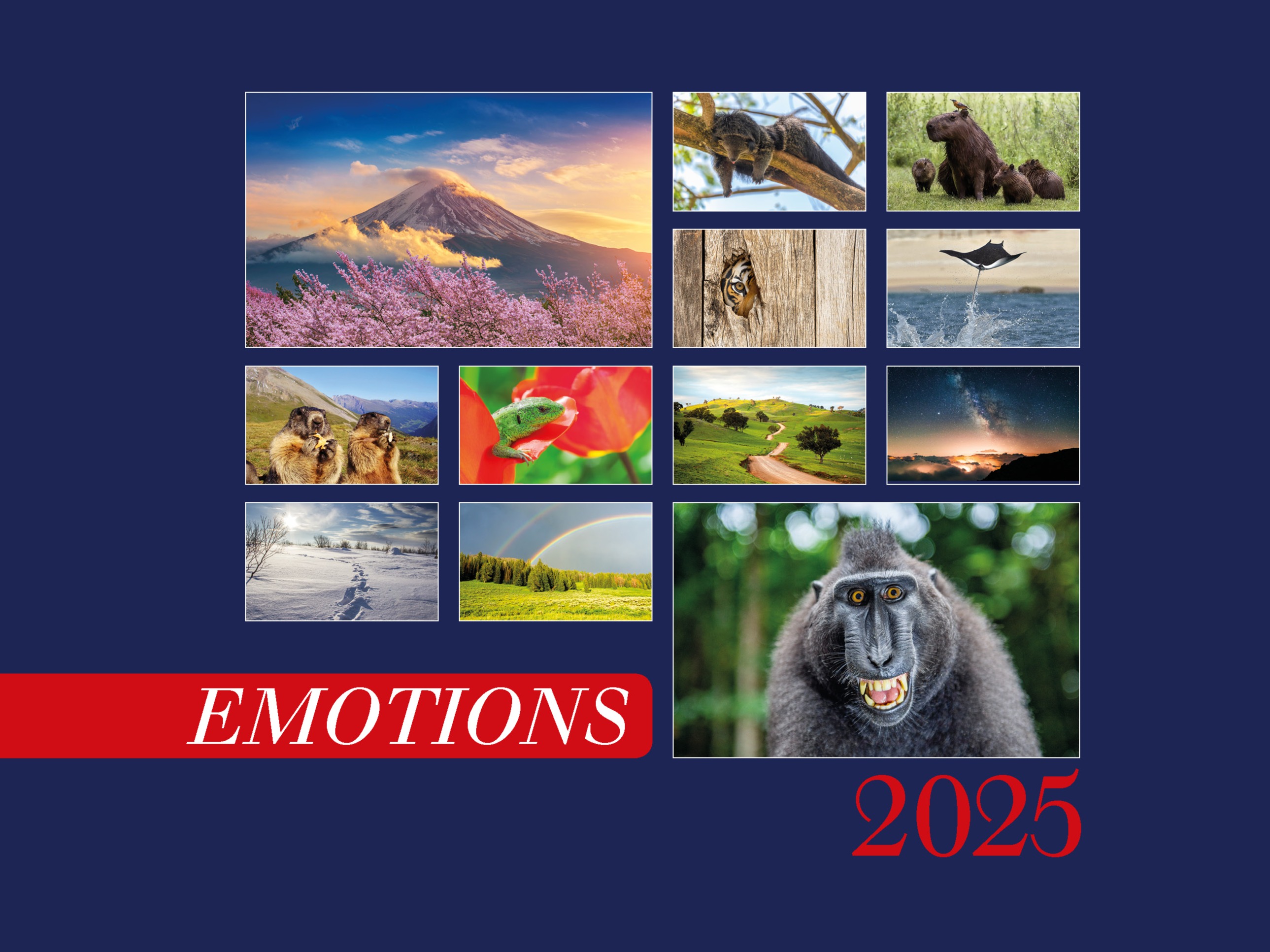 Pro Futura Verlag -  Emotions Kalender 2025