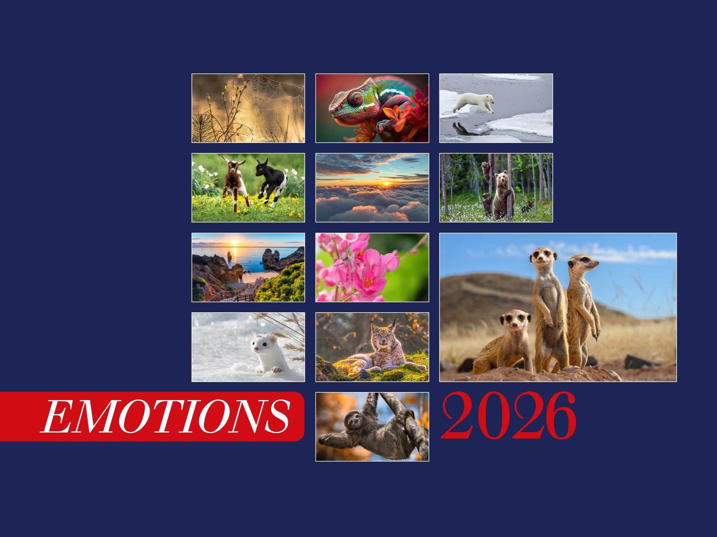 Pro Futura Verlag - Emotions Kalender 2026